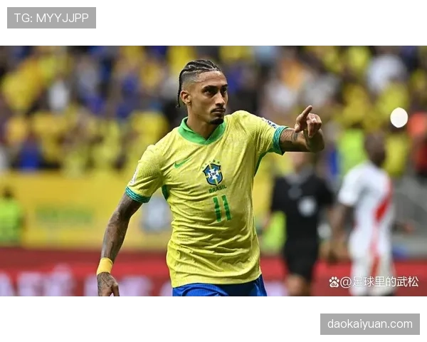 拉菲尼亚入选是否被高估 适配性与合理性深度分析